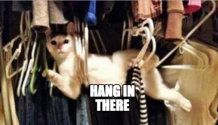 Hang in there