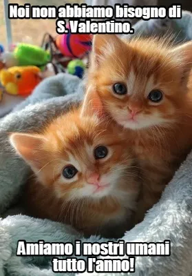 Noi non abbiamo bisogno di S. Valentino. Amiamo i nostri umani tutto l'anno!