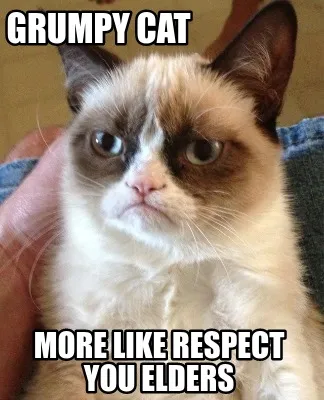 Funny Grumpy cat More like respect you elders