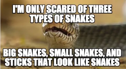 Funny I'm only scared of three types of snakes big snakes, small snakes, and sticks th
