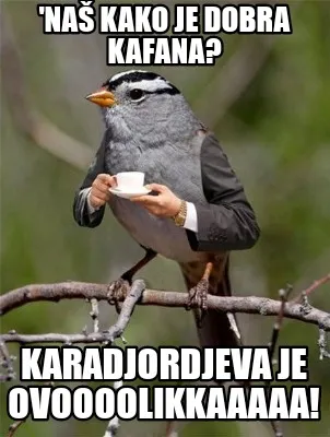 'naš kako je dobra kafana? Karadjordjeva je ovoooolikkaaaaa!