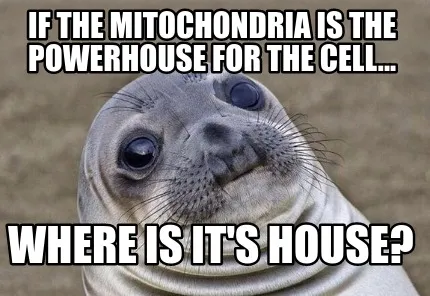 Funny If the Mitochondria is the powerhouse for the cell... Where is it's house?