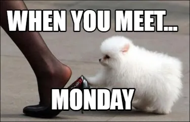When you meet... MONdAY