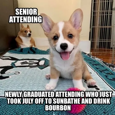 Funny Senior attending Newly graduated attending who just took July off to sunbathe a