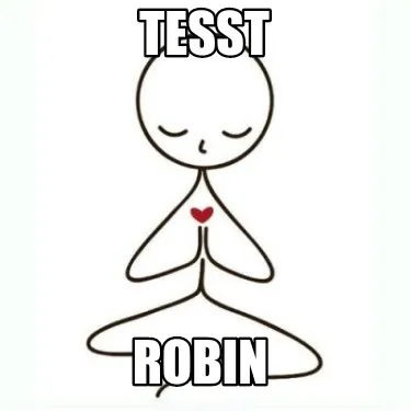 Funny Tesst Robin