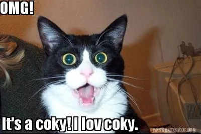 Funny OMG! It's a coky! I lov coky.