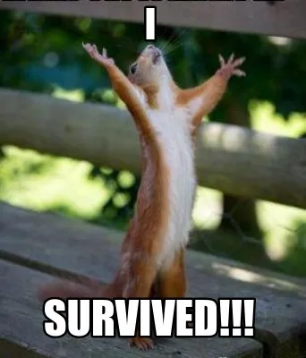 I survived!!!