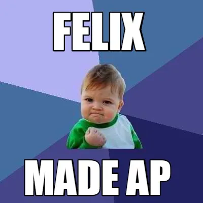 Felix MADE AP