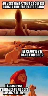 Funny Tu vois Simba, tout ce qui est dans la lumière c’est le Gard Et ce qu’il y