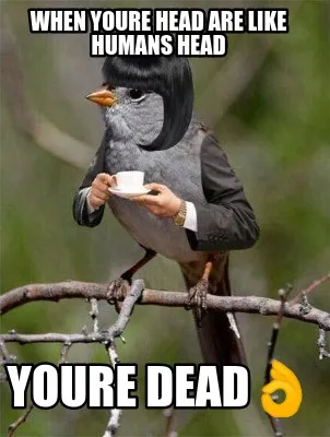 Funny when youre head are like humans head youre dead????