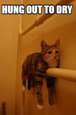 Funny hung out to dry