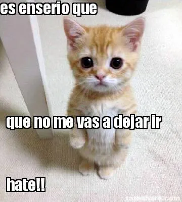 Funny es enserio que que no me vas a dejar ir hate!!