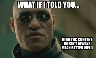 Funny What if i told you... High thc content doesn't always mean better weed