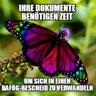 Funny Ihre dokumente benötigen Zeit um sich in einen bafög-bescheid zu verwandeln