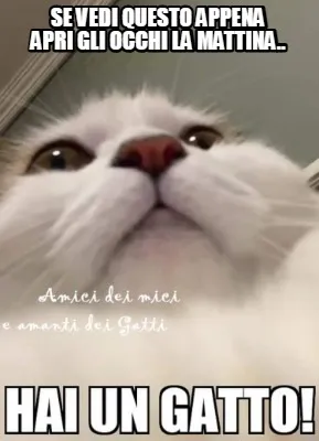 Se vedi questo appena apri gli occhi la mattina..