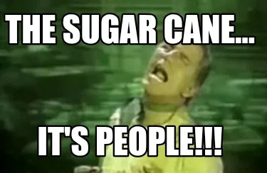 Funny THE SUGAR CANE... IT'S PEOPLE!!!