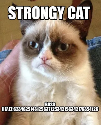 Strongy cat boss healt:6234625143125637125342156342176354126