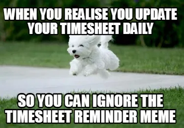 Funny when you realise you update your timesheet daily so you can ignore the timesheet