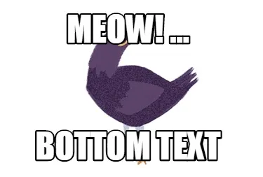 Funny MEOW! ... Bottom text