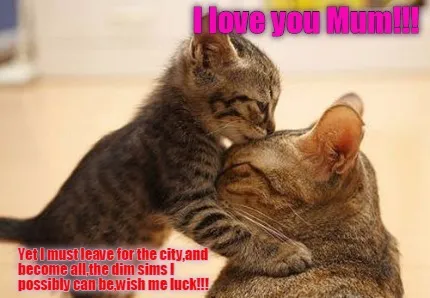 I love you Mum!!! Yet I must leave for the city,and become all,the dim sims I po