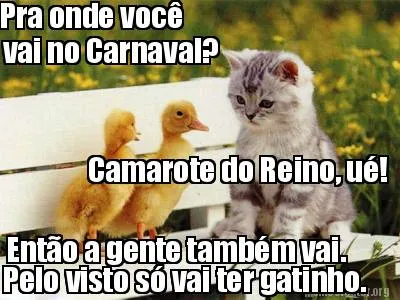 Funny Pra onde você vai no Carnaval? Camarote do Reino, ué! Então a gente também v