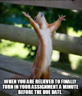 When you are relieved to finally turn in your assignment a minute before the du