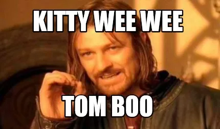 Funny kitty wee wee tom boo