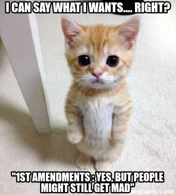 Funny I can say what I wants.... right? "1st amendments : yes, but people might still