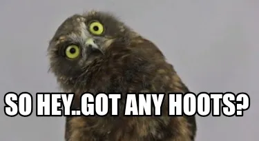 So hey..got any hoots?