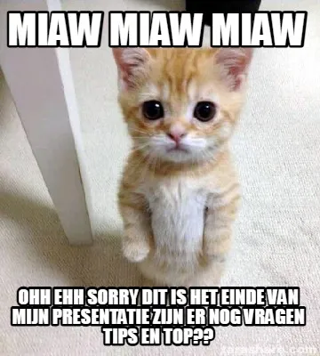 MIAW MIAW MIAW OHH EHH SORRY DIT IS HET EINDE VAN MIJN PRESENTATIE ZIJN ER NOG V