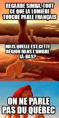 Funny Regarde Simba, tout ce que la lumière touche parle français On ne parle pas du