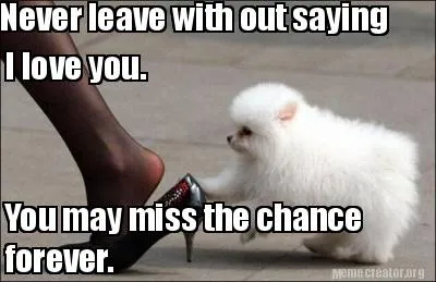 Never leave with out saying I love you. You may miss the chance forever.