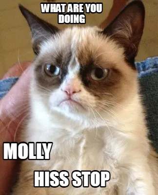 What are you doing hiss stop molly