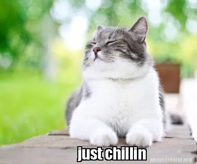 Funny just chillin