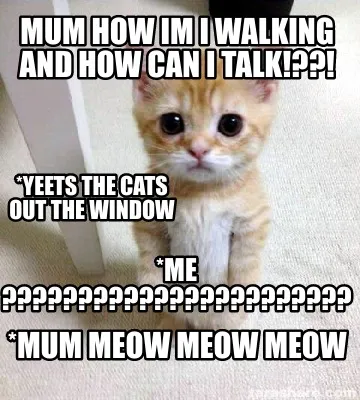 Mum how im i walking and how can i talk!??! *mum Meow meow meow *me ????????????