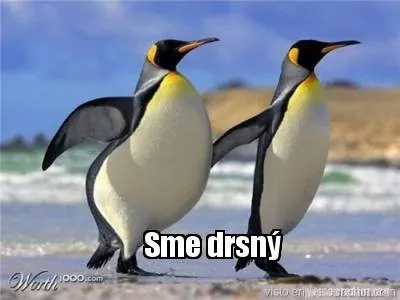 Funny Sme drsný