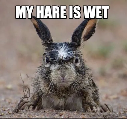 My Hare is wet