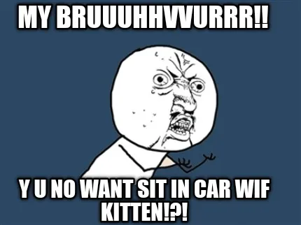 My bruuuhhvvurrr!! Y u no want sit in car wif kitten!?!