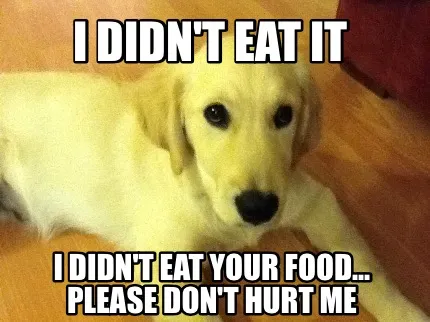 I didn't eat it I didn't eat your food... Please don't hurt me