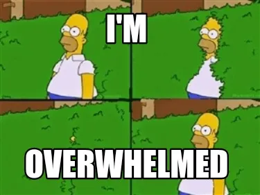 Funny I'm Overwhelmed