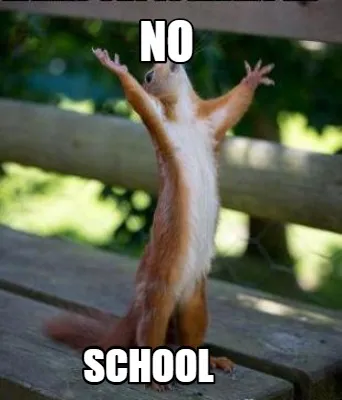 NO SCHOOL