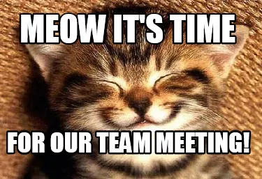 Funny Meow It's Time For our Team Meeting!