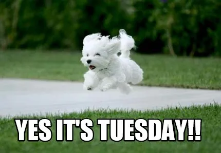Yes it's Tuesday!!