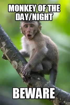 Funny Monkey of the Day/Night BEWARE