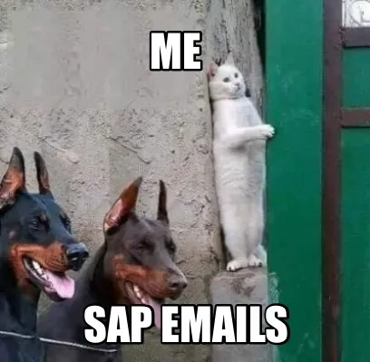 Funny Me SAP Emails