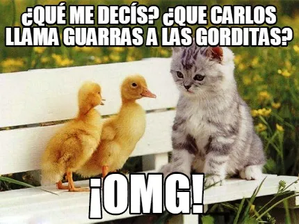 ¡omg! ¿qué me decís? ¿que carlos llama guarras a las gorditas?