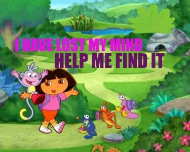 I have lost my mind Help me find it