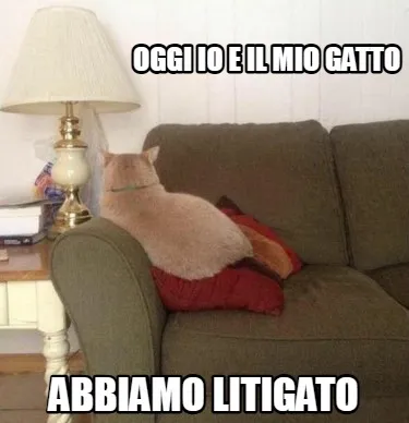 Funny oggi io e il mio gatto abbiamo litigato