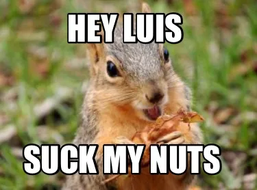 Funny Hey Luis Suck my nuts