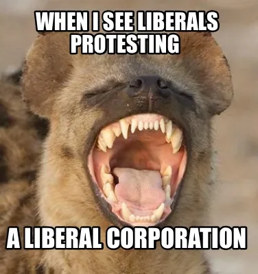 Funny When I see liberals protesting A liberal corporation